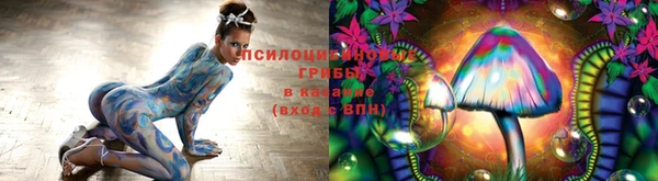 каннабис Алзамай