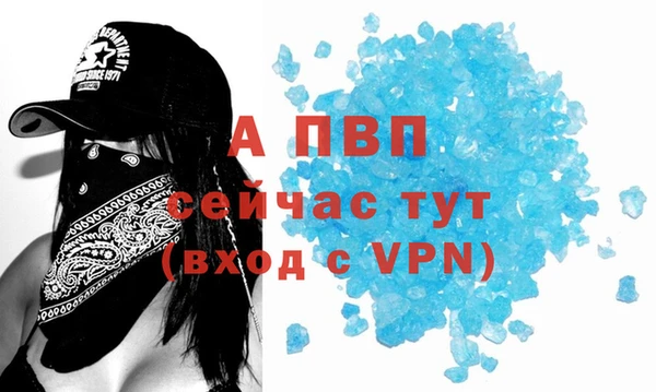 прущие грибы Россошь