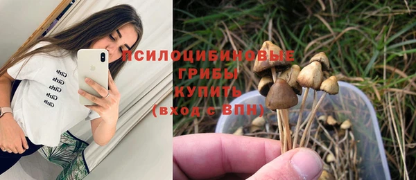 амф Абаза