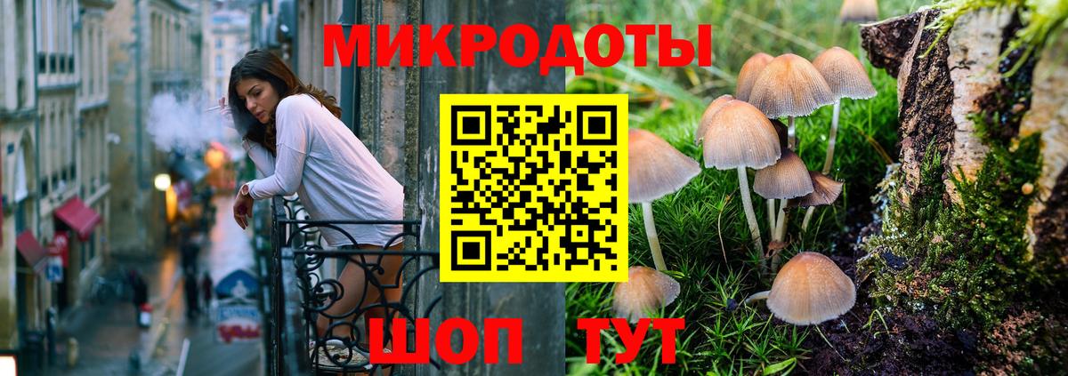 Новоуральск  дарнет шоп  Вход с VPN  Галлюциногенные грибы Psilocybe 